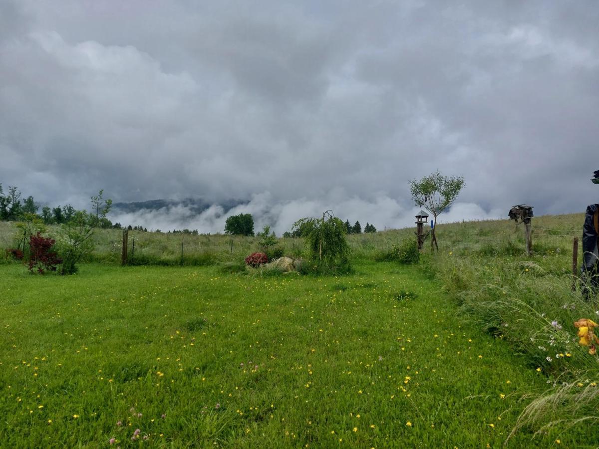 Petit Chalet Nature Les Rousses Dış mekan fotoğraf