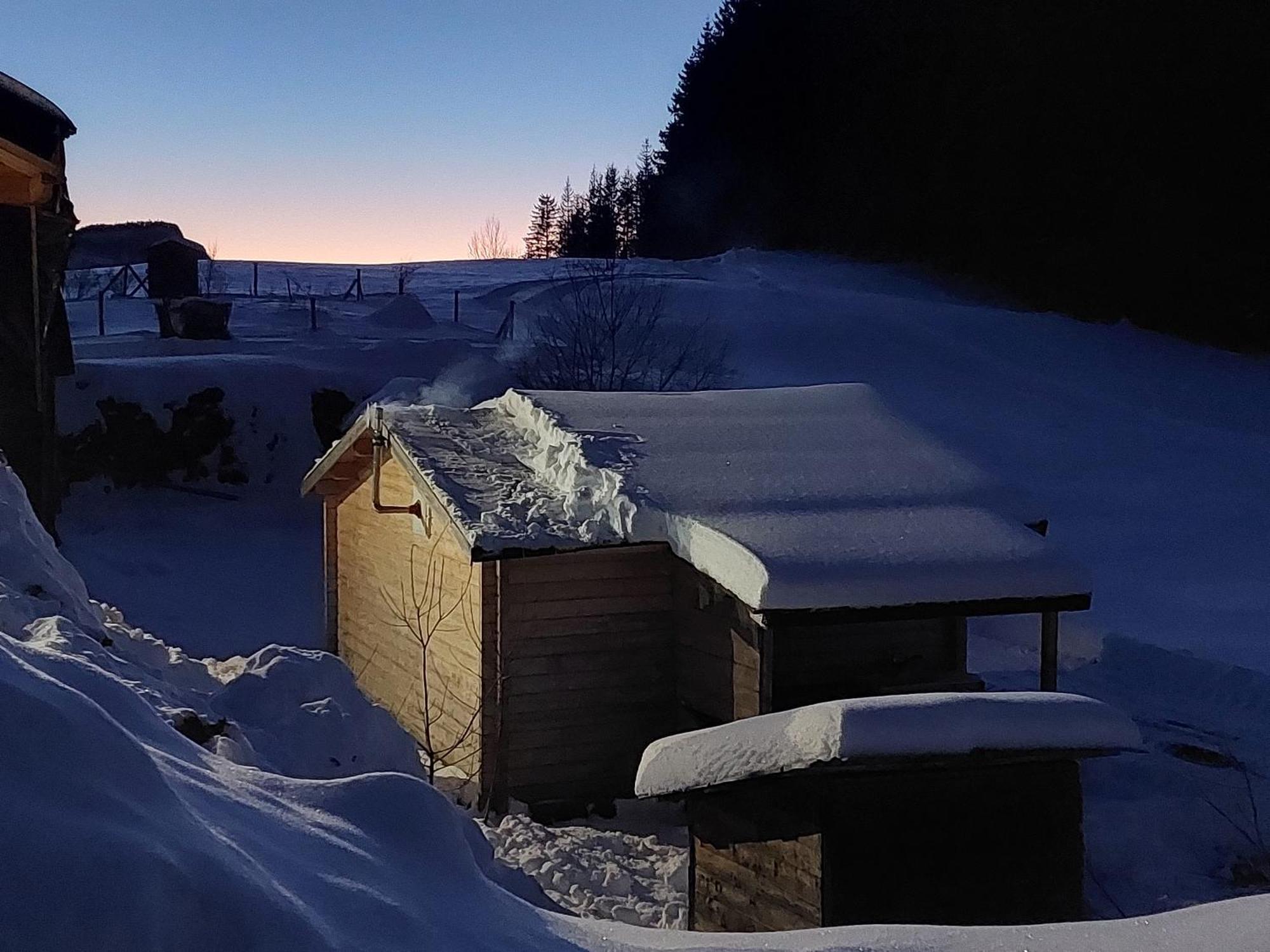 Petit Chalet Nature Les Rousses Dış mekan fotoğraf
